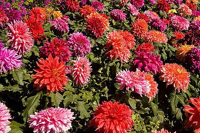 澳洲玩家库中《迈阿密热线2》被移除：才发现没评级