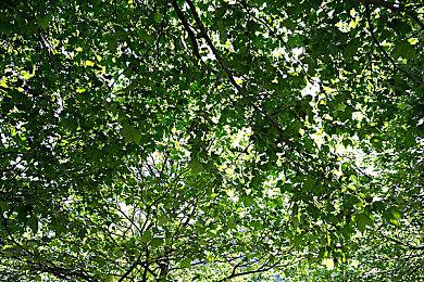 《GT7》新更新已上线 新增四辆新车