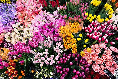 系列最新作SRPG《女神异闻录５ 战略版》现已正式发售！